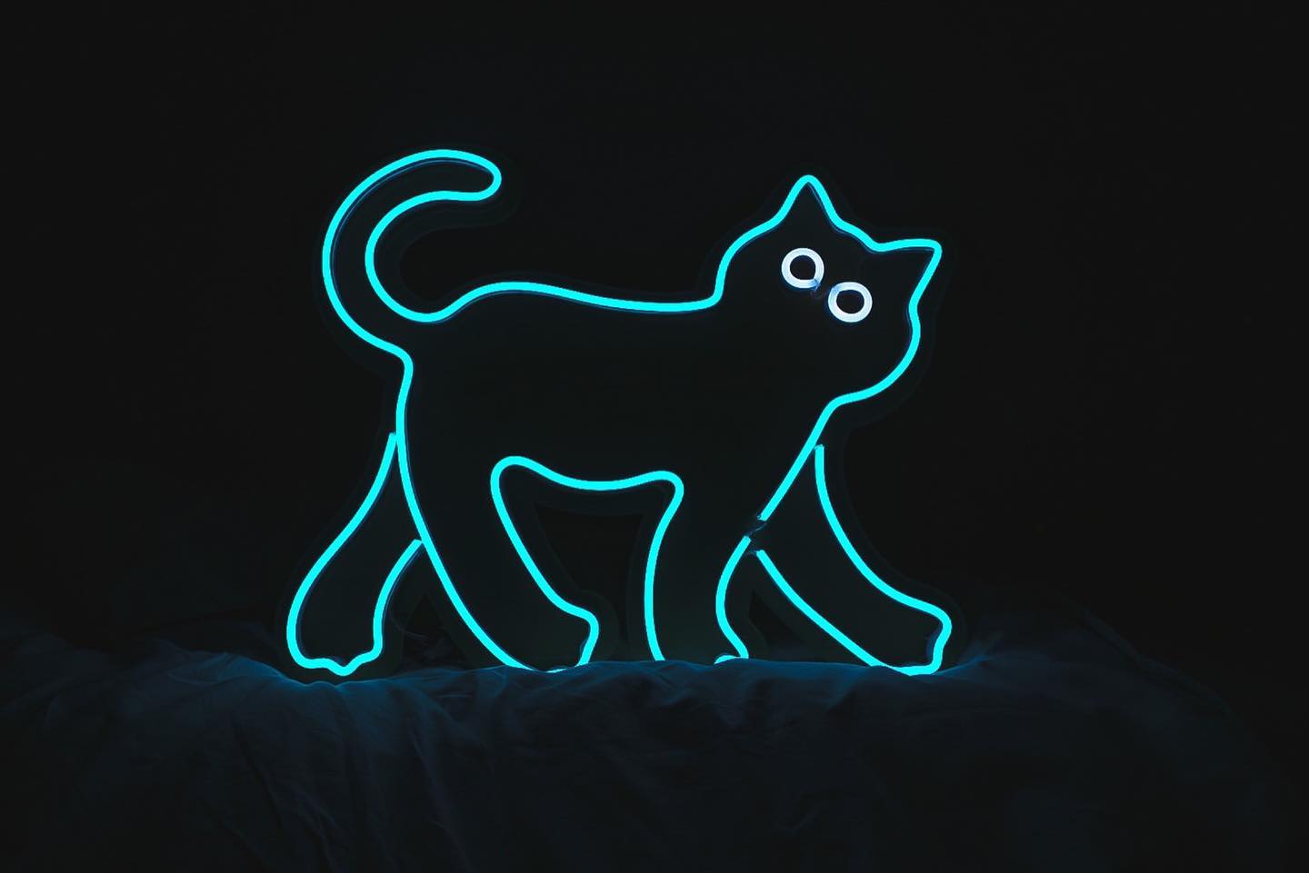 アーティストumaoの黒猫LEDネオンサイン制作事例｜福岡・展示用ネオンアート